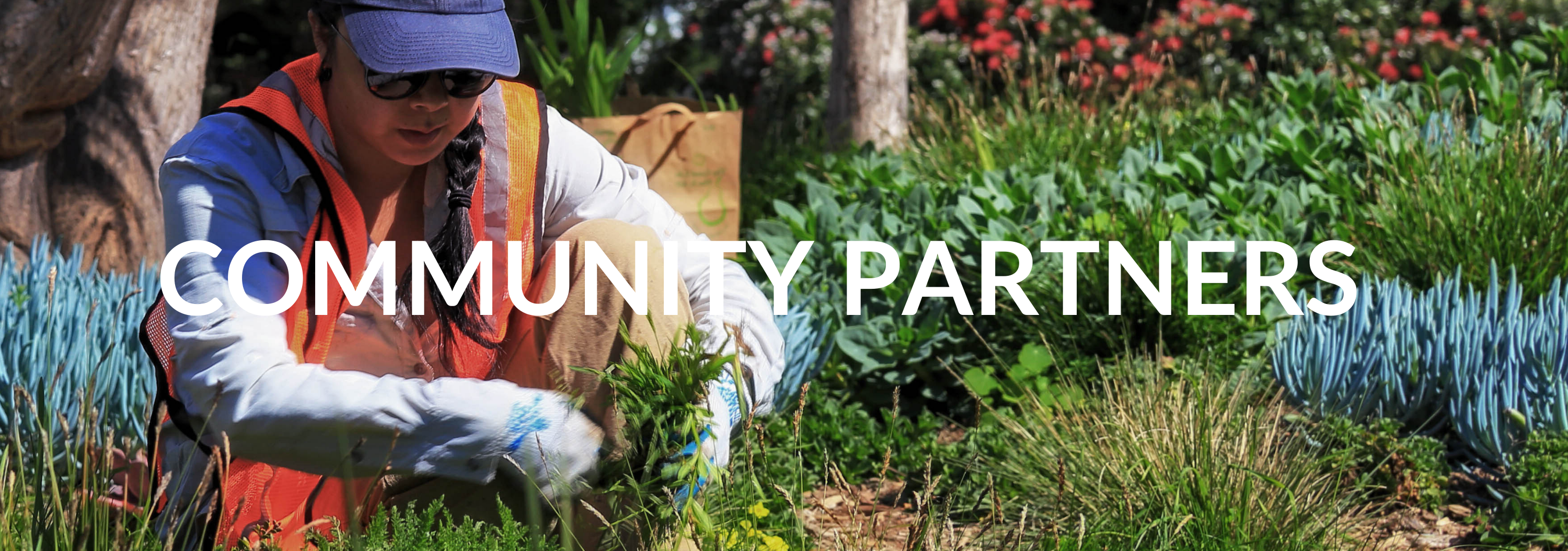 Our Community Partners San Francisco Parks Alliance