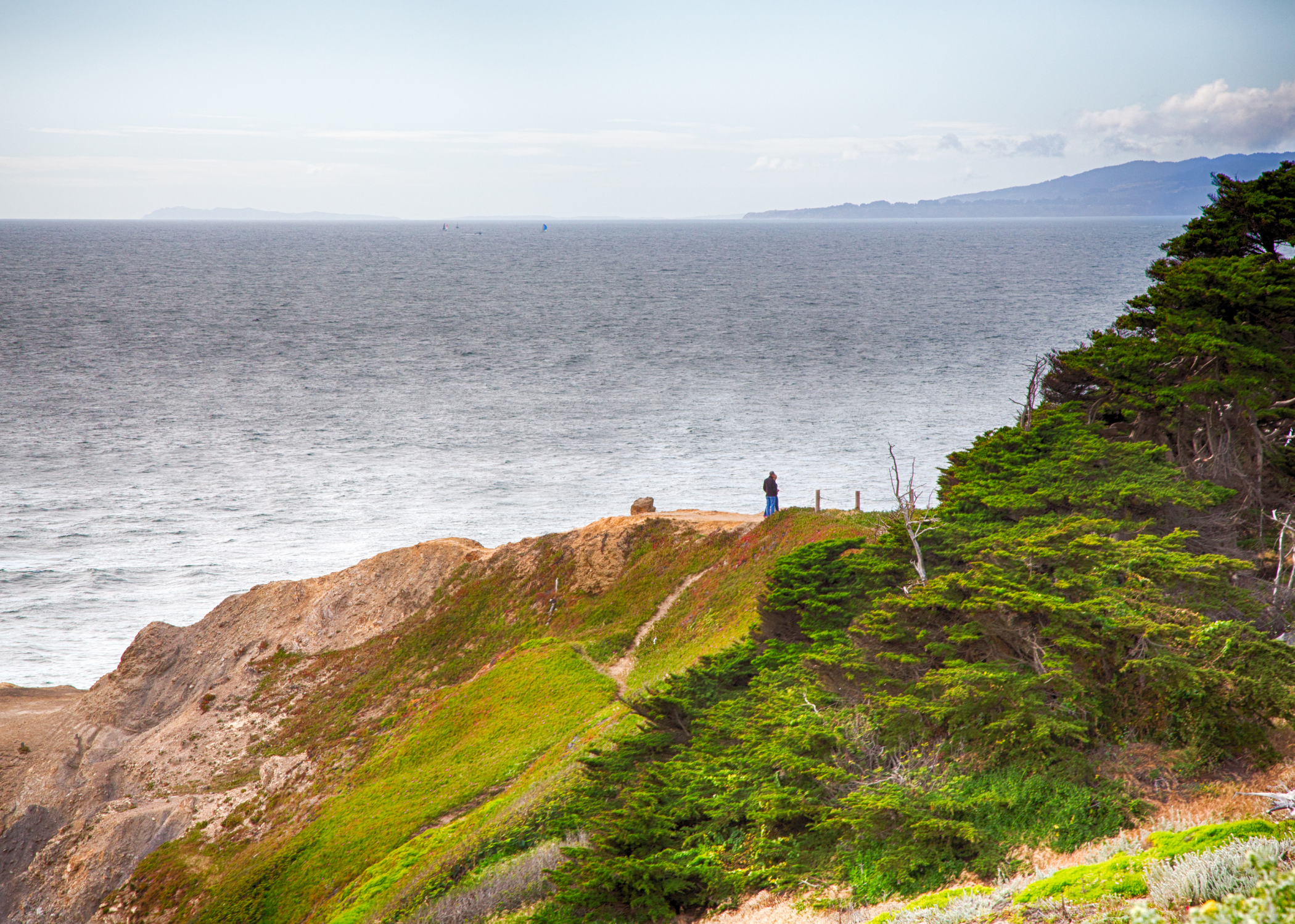 an image of a cliff at Land's End park with the pacific ocean in the background