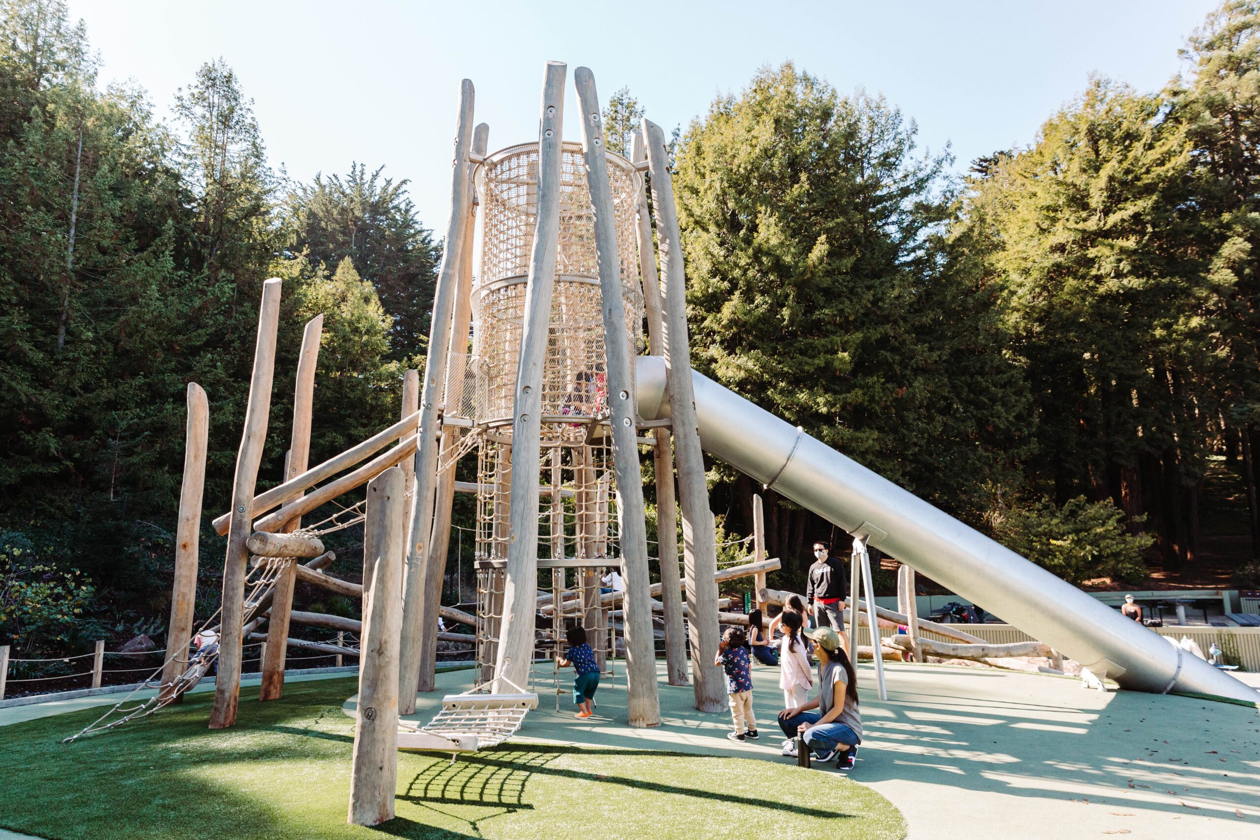 Redwood Grove Playground