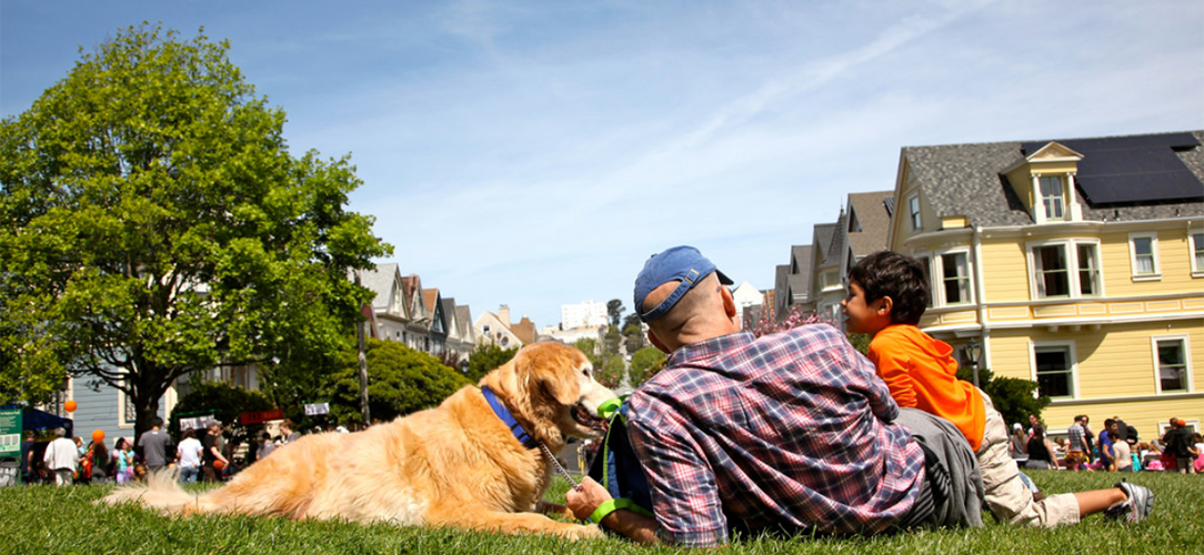 Dog Parks for the Dog Days of Summer