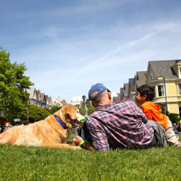 Dog Parks for the Dog Days of Summer