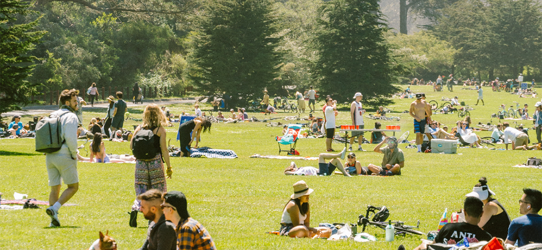 The Best Picnic Spots in Golden Gate Park