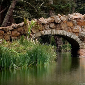 The Best Picnic Spots in Golden Gate Park