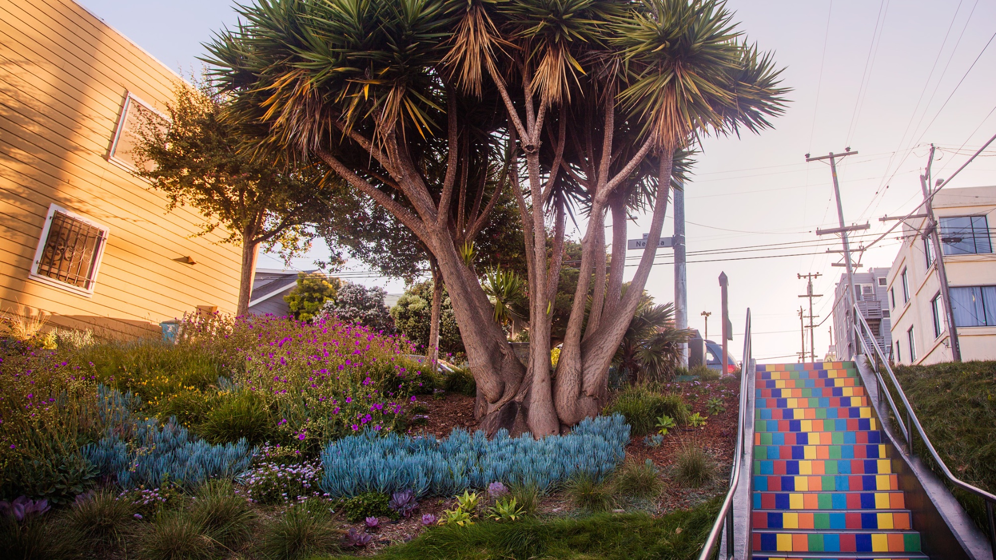 Tompkins stairway